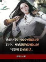 穿越霸總小說