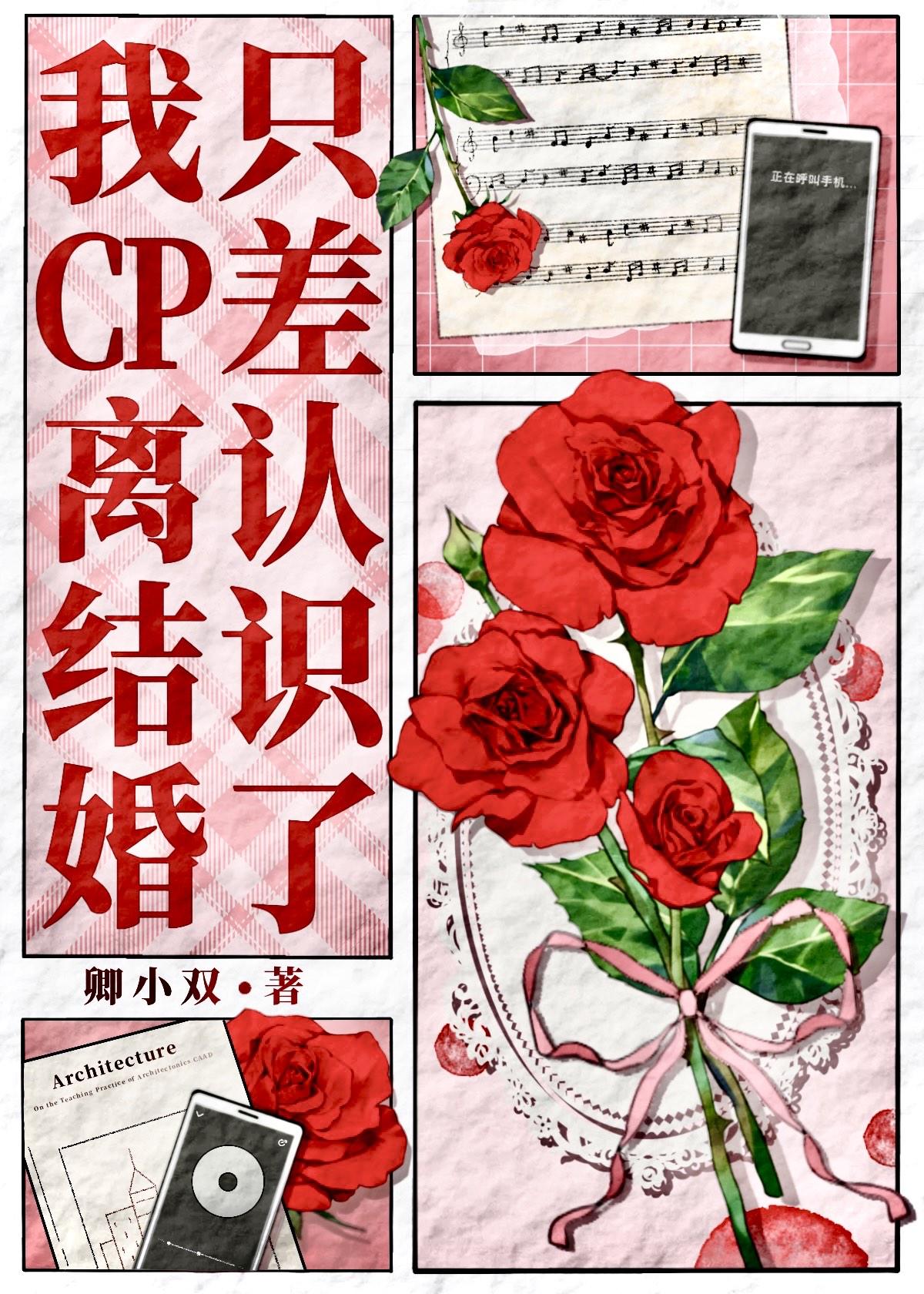 我CP離結婚隻差認識了[娛樂圈]