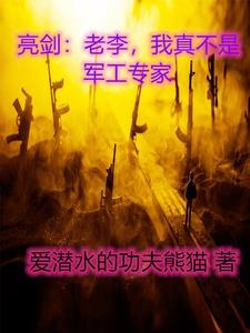 亮劍：老李，我真不是軍工專家