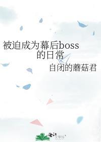 被迫成為幕後boss的日常