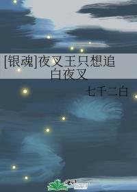 [銀魂]夜叉王隻想追白夜叉