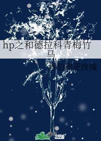 hp之和德拉科青梅竹馬