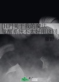 [HP]關于我的魔法覺醒系統不太好用這回事