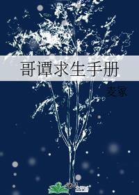 哥譚求生手冊