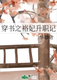 穿書之裕妃升職記