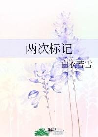 兩次标記