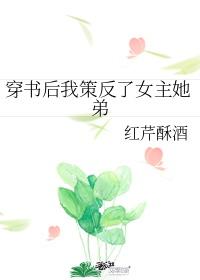 穿書後我策反了女主她弟