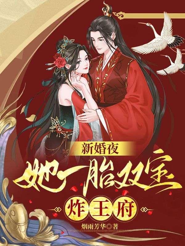 新婚夜：她一胎雙寶炸王府