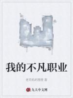 我的不凡職業小說免費閱讀全文